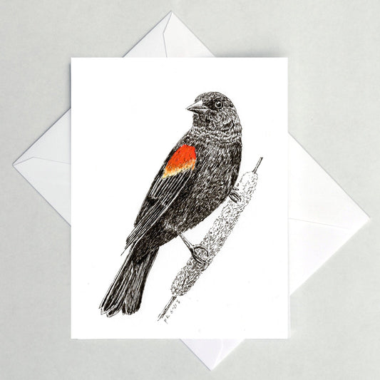 Red-Winged Blackbird Card