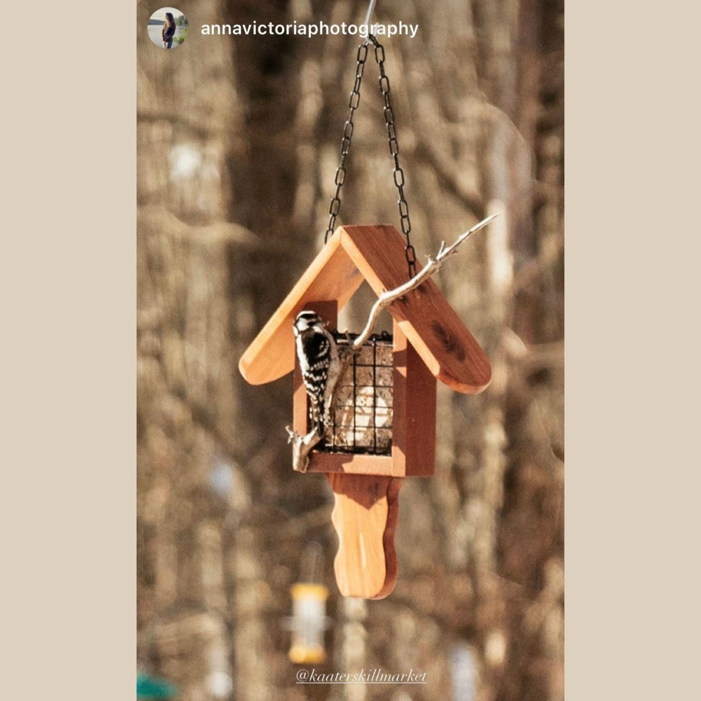 Suet Cake Bird Feeder Lacewood