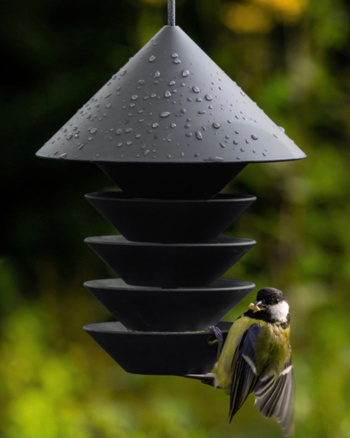 Bird silo bird feeder hug outdoors with bird perched eating seed