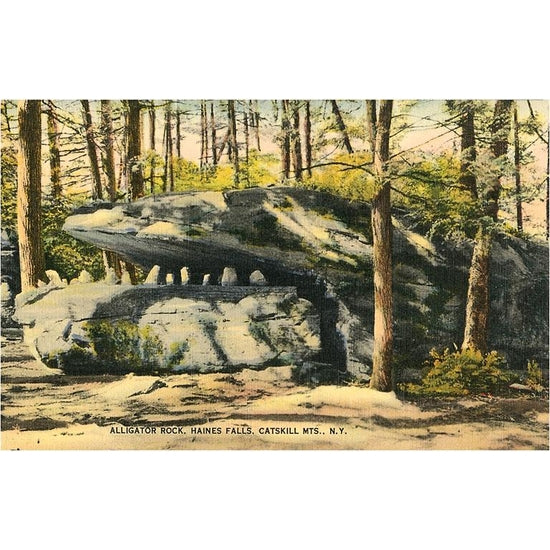 vintage postcard of alligator rock in haines falls newyork