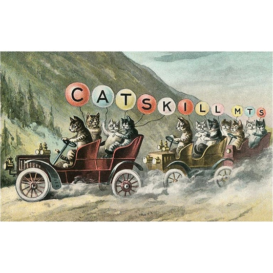 Vintage postcard of cats in old-fashioned cars holding balloons that spell out catskill mts