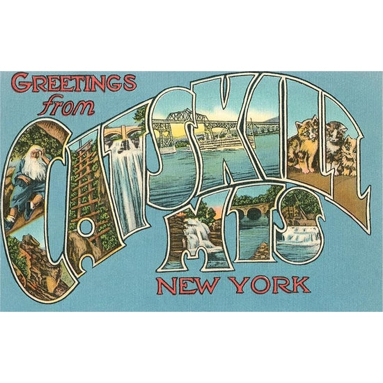 vintage postcard that reads greetings from the catskill mts new york