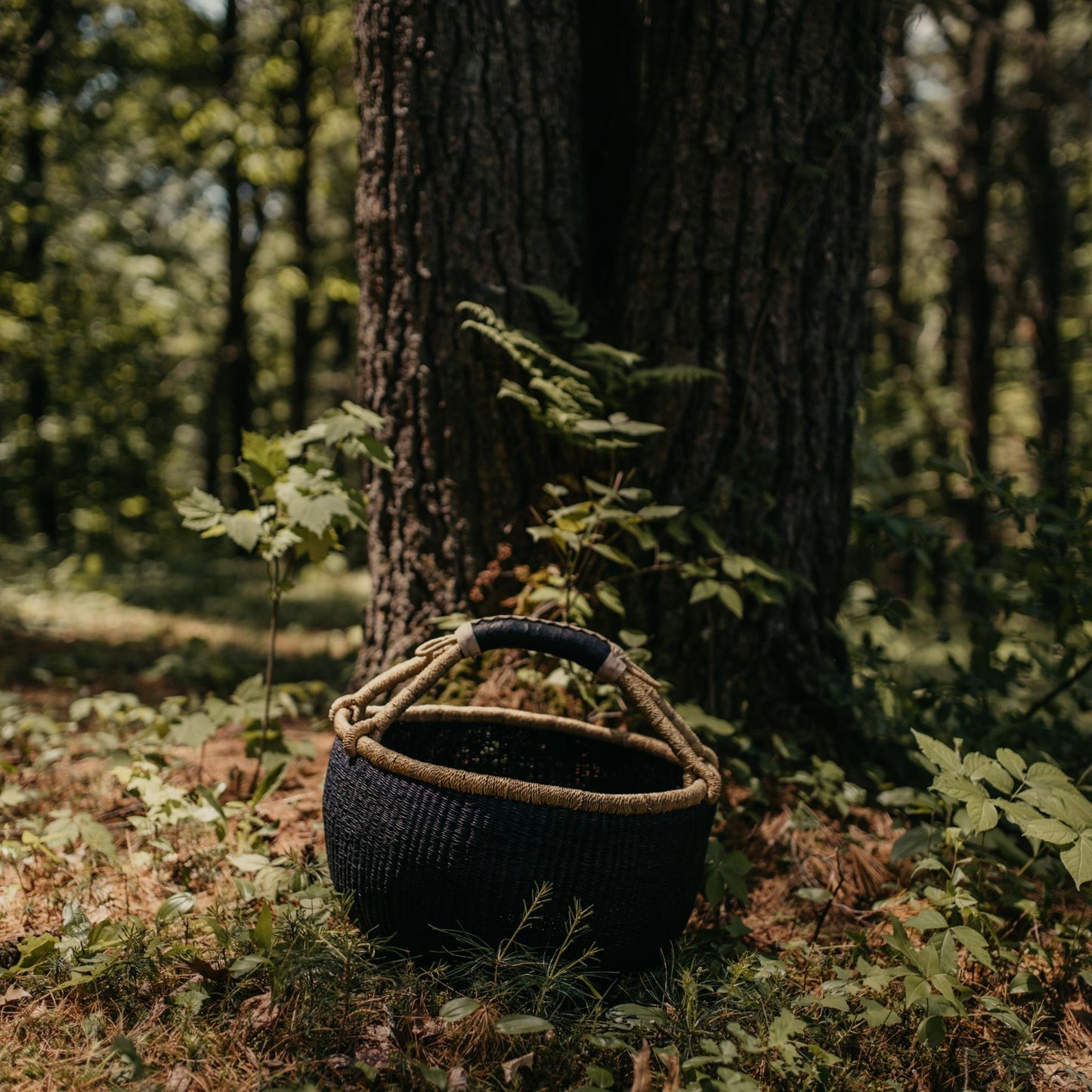 Handwoven black Bolga basket shown outdoors