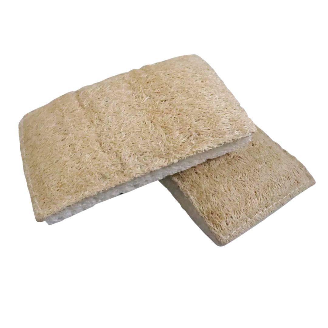 2 compostable cellulose and loofa dish sponges 