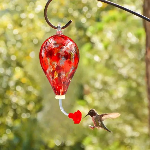 Little Bird flying to a red Hummingbird Feeder made of Glass