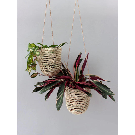 small and large handwoven dome-shaped hanging palm leaf basket with braided leather strap shown as planter for houseplants