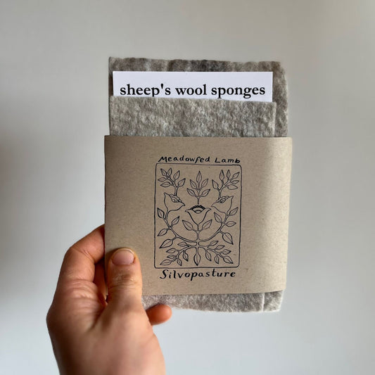 Undyed Sheep's Wool Sponges 2-pack