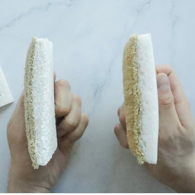 Shows Cellulose Loofah Kitchen Sponge - one in dry and one in wet condition.